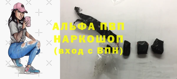 ПСИЛОЦИБИНОВЫЕ ГРИБЫ Кулебаки