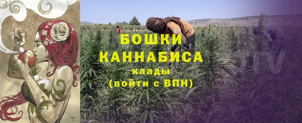 ПСИЛОЦИБИНОВЫЕ ГРИБЫ Кулебаки