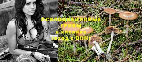 2c-b Кукмор