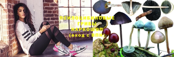 ПСИЛОЦИБИНОВЫЕ ГРИБЫ Кулебаки