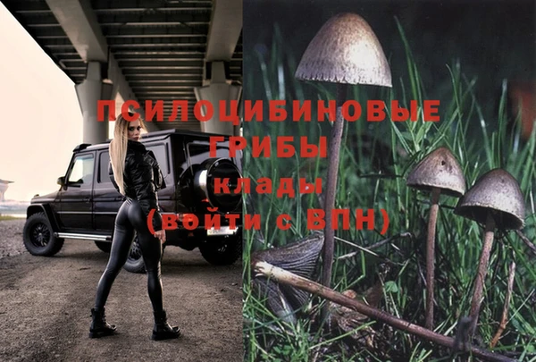 дживик Куйбышев
