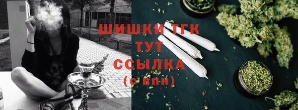 ПСИЛОЦИБИНОВЫЕ ГРИБЫ Кулебаки