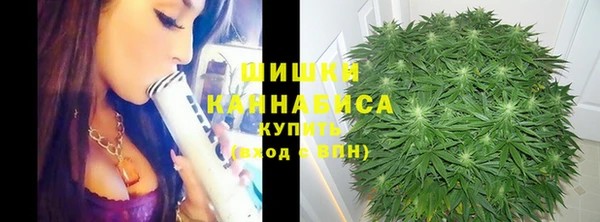 2c-b Кукмор