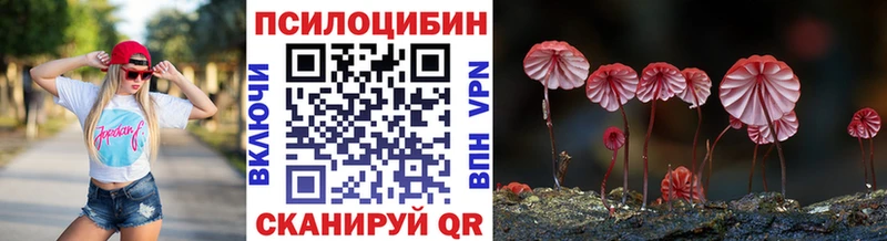 купить наркотик  Феодосия  Псилоцибиновые грибы Magic Shrooms 